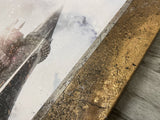 Draco Dormiens (Harry Potter) - Unique Canvas Limited Edition - SAVE 35%