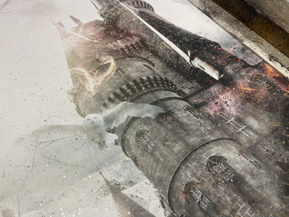 Draco Dormiens (Harry Potter) - Unique Canvas Limited Edition - SAVE 35%