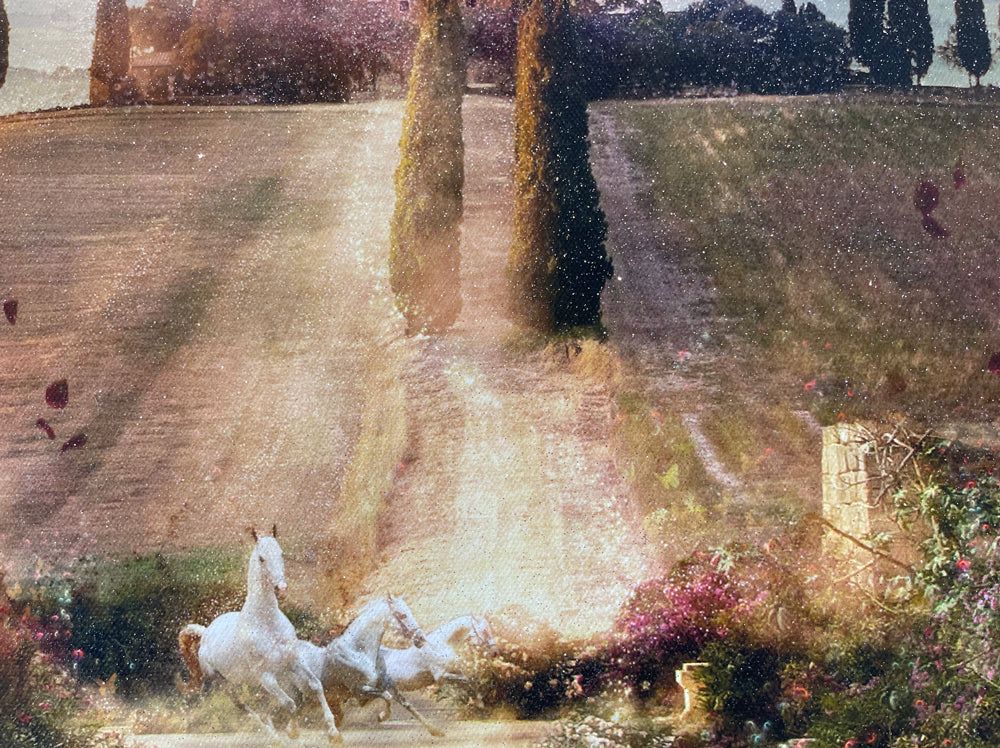 Custom Framed Strength & Honour (Gladiator) - Canvas Limited Edition 1PP - SAVE 35%