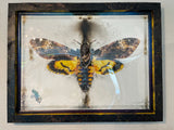 Old Skin (Silence Of The Lambs) - Unique Custom Canvas Limited Edition 1AP - SAVE 35%