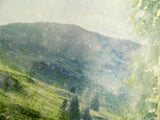 A Picture Of Hope (Peter Rabbit) - Original