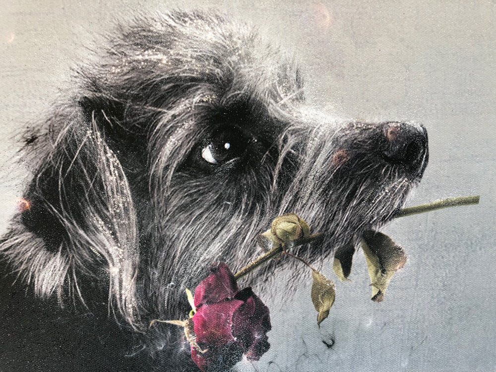 I'd Give My Last Meatball... (Lady & The Tramp) - Original