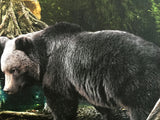 I Wanna Be Like You (The Jungle Book) - Original