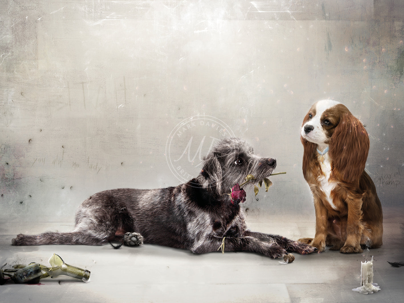 I'd Give My Last Meatball... (Lady & The Tramp) - Standard Limited Edition
