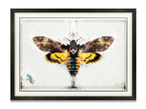 Old Skin (Silence Of The Lambs) - Standard Limited Edition