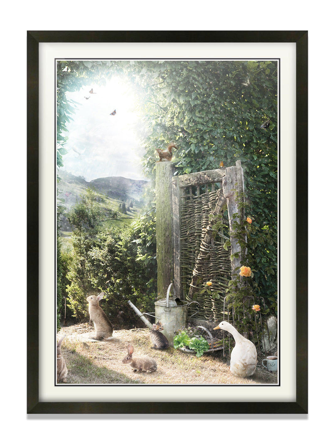 A Picture Of Hope - Standard Limited Edition