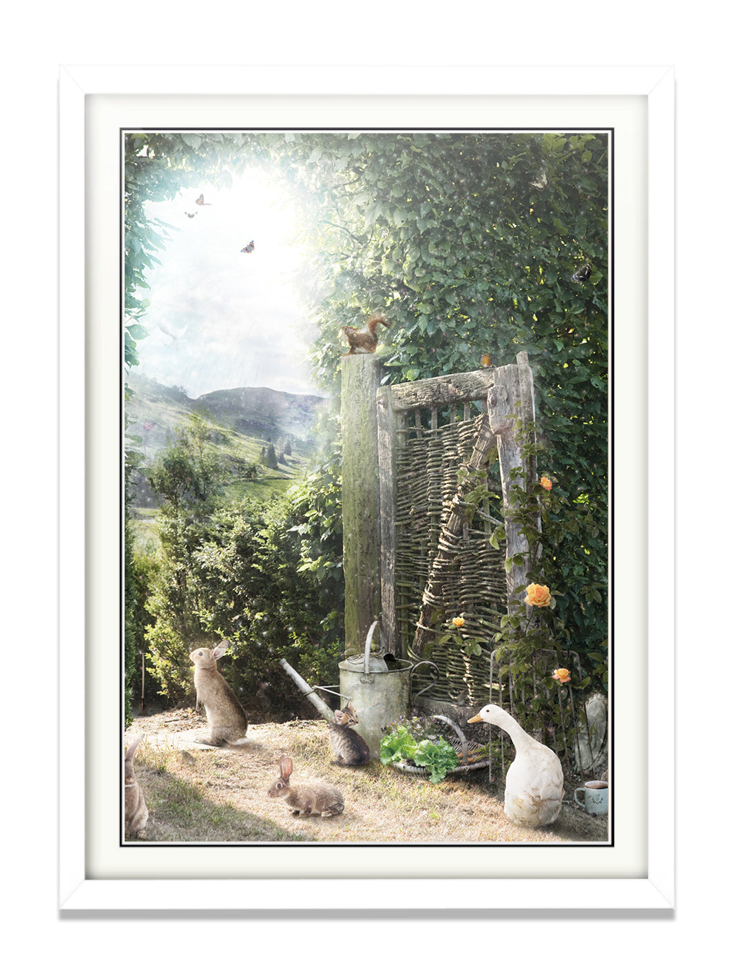 A Picture Of Hope - Standard Limited Edition