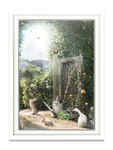 A Picture Of Hope - Standard Limited Edition