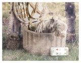 Keep Me In Your Heart (Winnie The Pooh) - Limited Edition