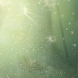 I'm Not Afraid (A Midsummer Night's Dream) - Standard Limited Edition