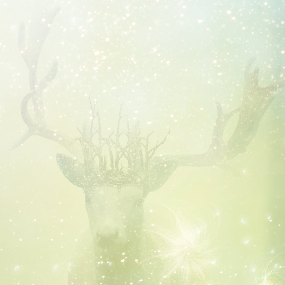 I'm Not Afraid (A Midsummer Night's Dream) - Canvas Limited Edition
