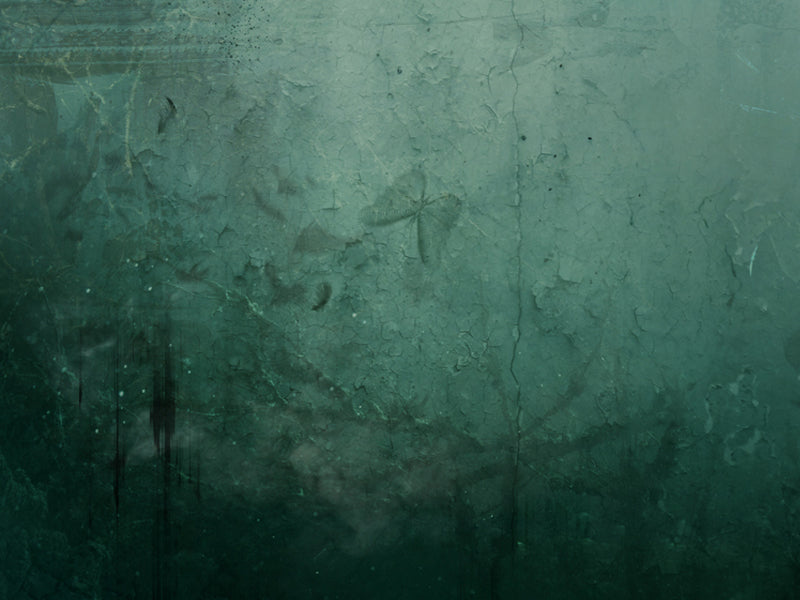 Carry Me Anew (Ophelia) - Limited Edition