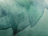 Carry Me Anew (Ophelia) - Limited Edition