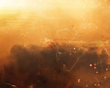Among The Clouds (Star Wars) - Standard Limited Edition