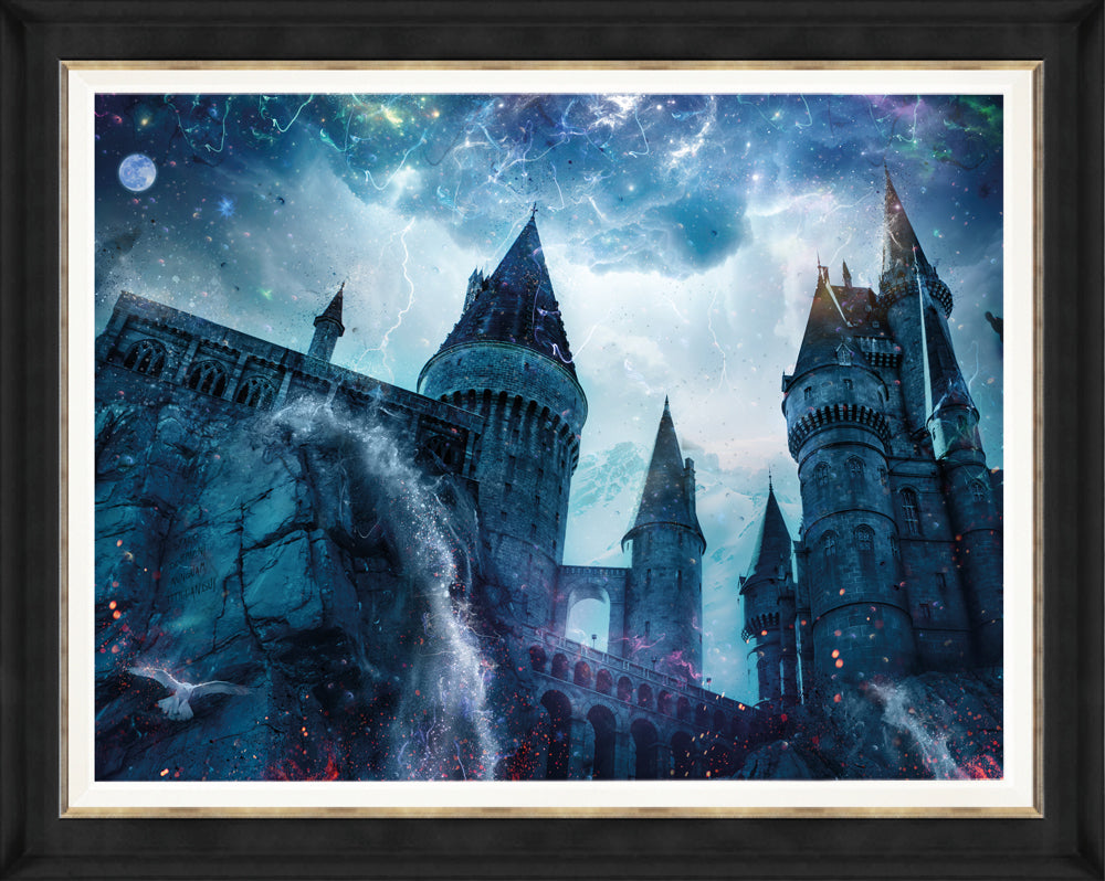 Draco Dormiens Nunquam Titillandus (Harry Potter) - Canvas Limited Edition