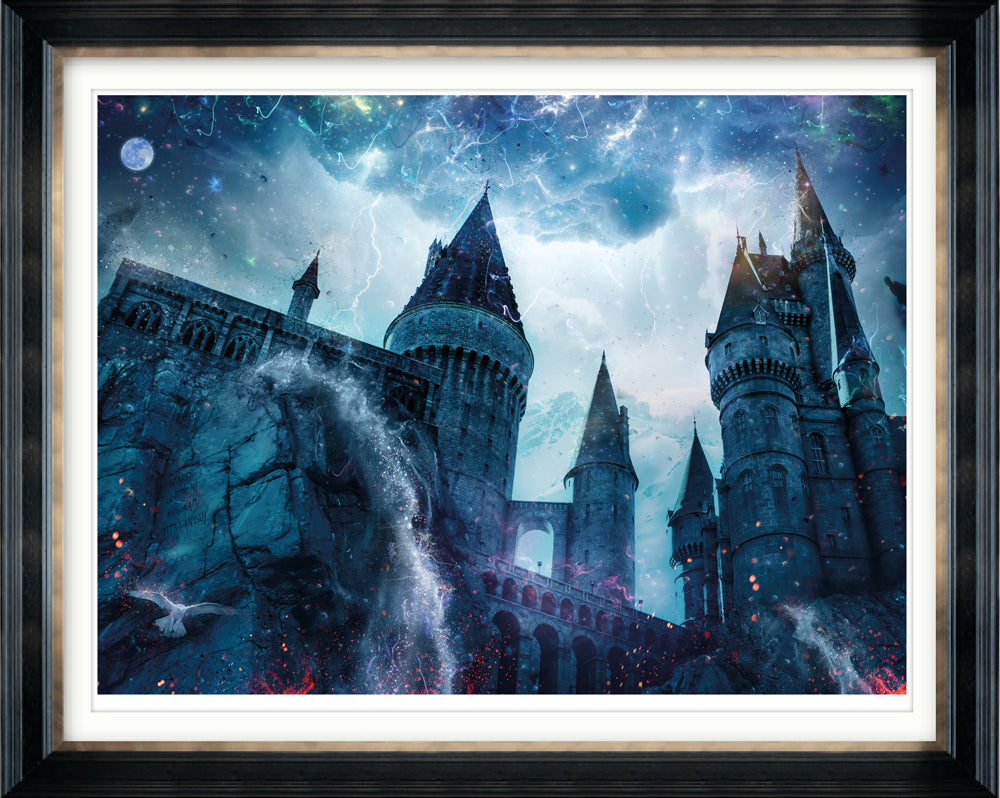 Draco Dormiens Nunquam Titillandus (Harry Potter) - Large Limited Edition