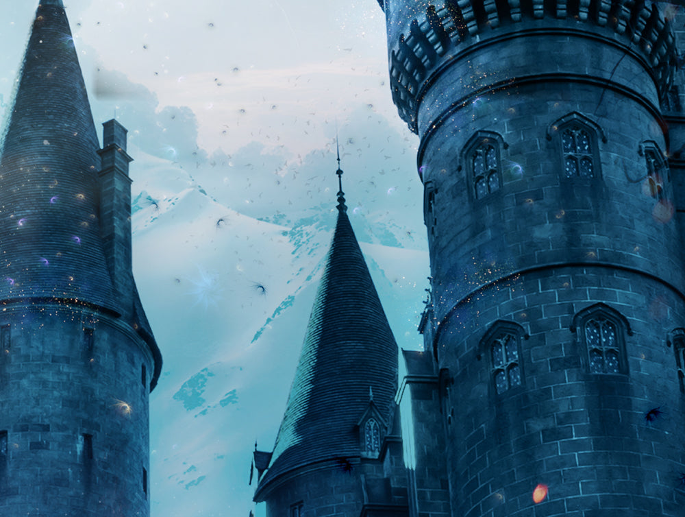 Draco Dormiens Nunquam Titillandus (Harry Potter) - Canvas Limited Edition