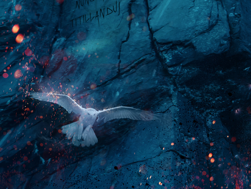 Draco Dormiens Nunquam Titillandus (Harry Potter) - Canvas Limited Edition