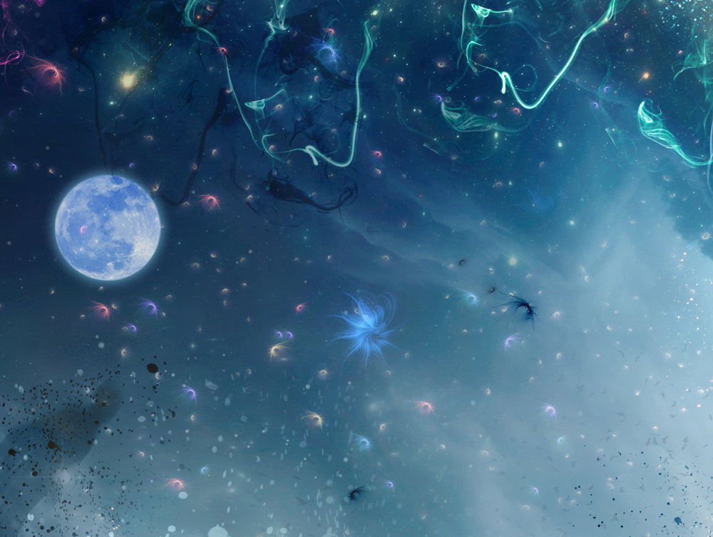 Draco Dormiens Nunquam Titillandus (Harry Potter) - Canvas Limited Edition