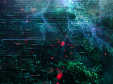 Jungle Hunter (Predator) - Canvas Limited Edition