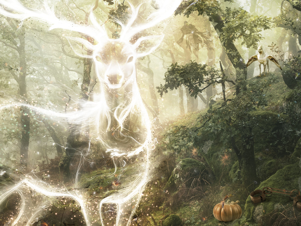 Expecto Patronum (Harry Potter) - Large Limited Edition