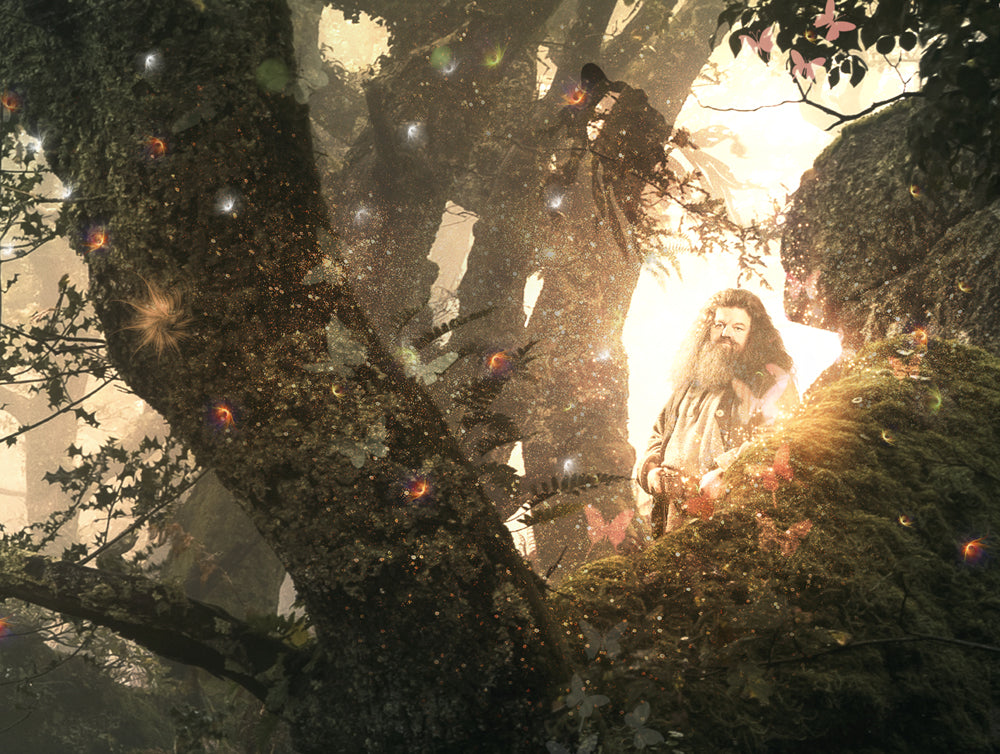 Expecto Patronum (Harry Potter) - Large Limited Edition