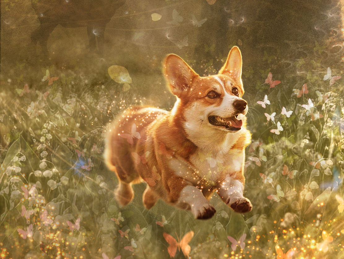 ‘Where Memories Take Flight’ (A Tribute to Her Late Majesty the Queen) - Large Limited Edition