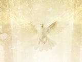 ‘Where Memories Take Flight’ (A Tribute to Her Late Majesty the Queen) - Canvas Limited Edition