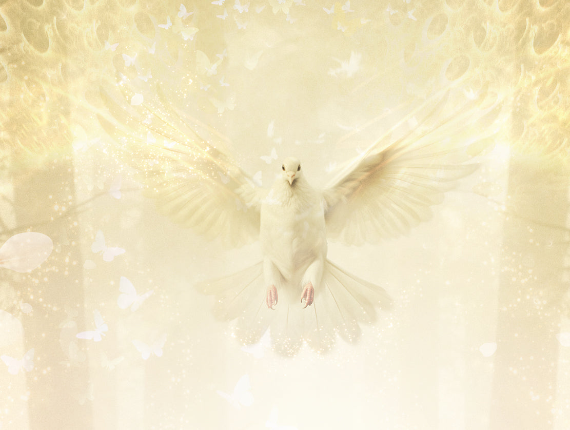 ‘Where Memories Take Flight’ (A Tribute to Her Late Majesty the Queen) - Standard Limited Edition