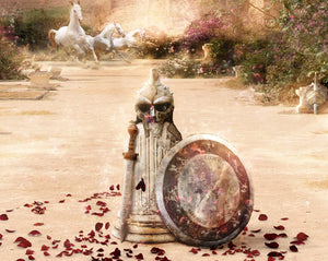Custom Framed Strength & Honour (Gladiator) - Canvas Limited Edition 2PP