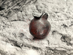 Crushed Like Fruit (The Kite Runner) - Original