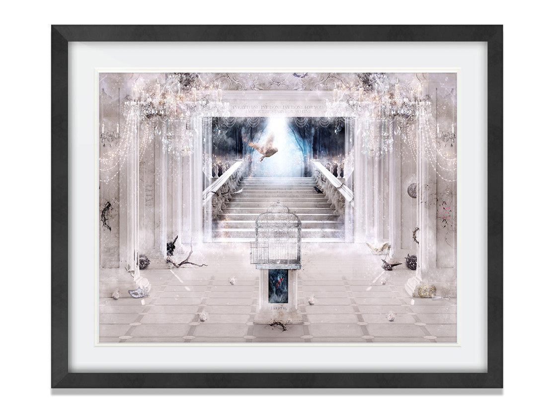 You Have No Power Over Me (Labyrinth) - Standard Limited Edition