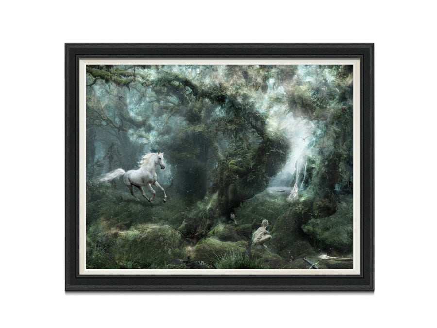 Not All Who Wander Are Lost (Lord Of the Rings) - Canvas Limited Edition