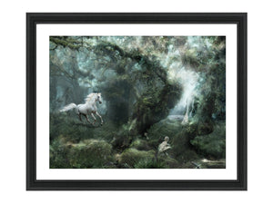 Not All Who Wander Are Lost (Lord Of the Rings) - Large Limited Edition