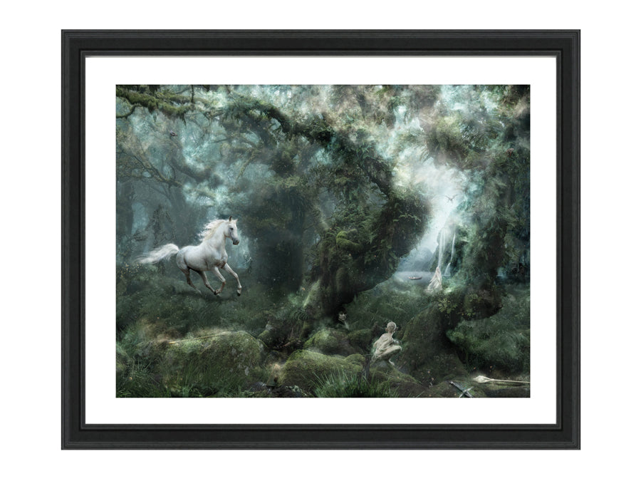 Not All Who Wander Are Lost (Lord Of the Rings) - Large Limited Edition