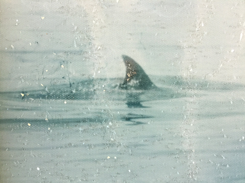 There’s No Such Thing As Monsters (Moby Dick) - Original