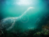 Rest In Pieces (The Loch Ness Monster) - Limited Edition