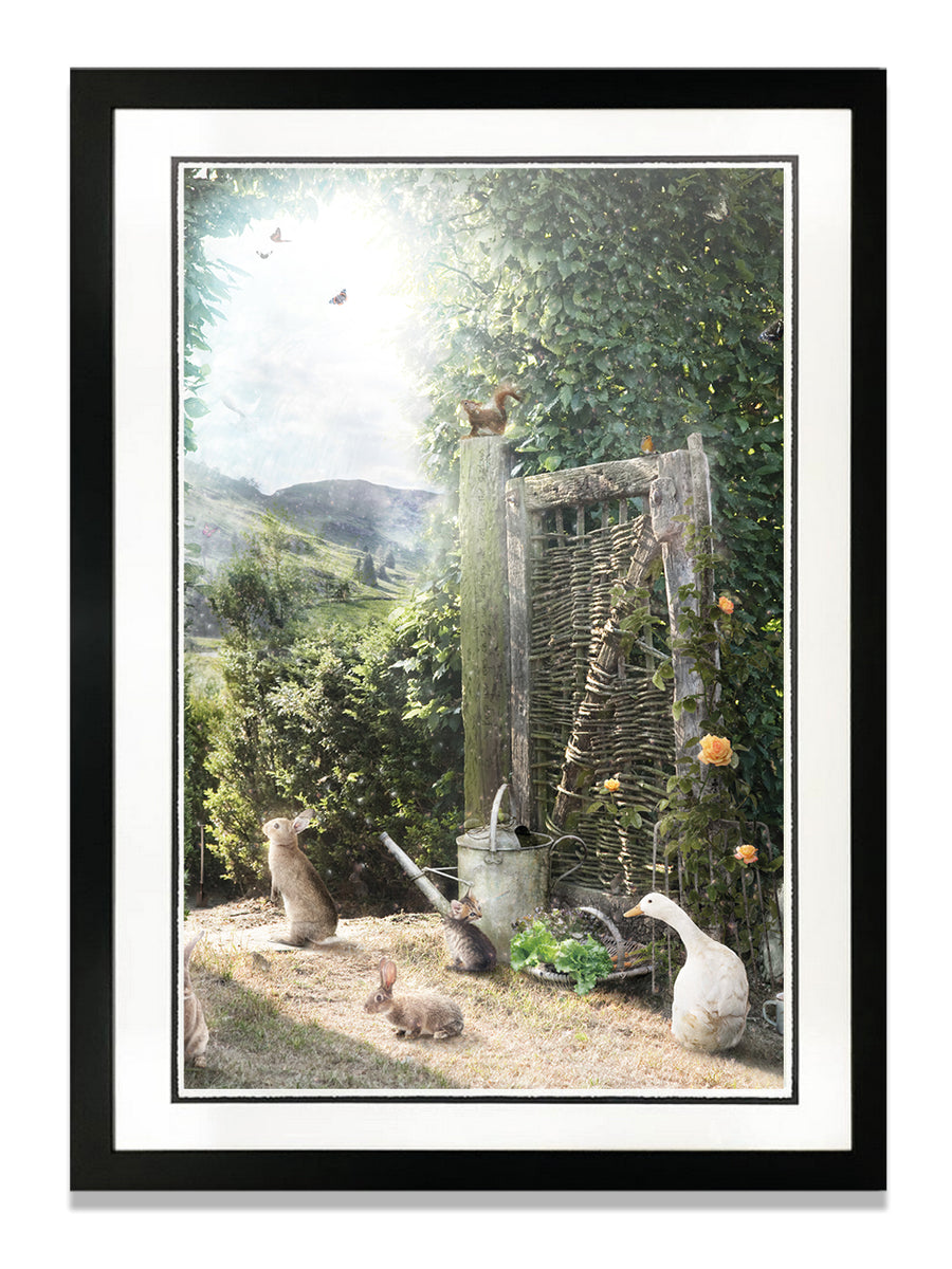A Picture Of Hope - Large Limited Edition