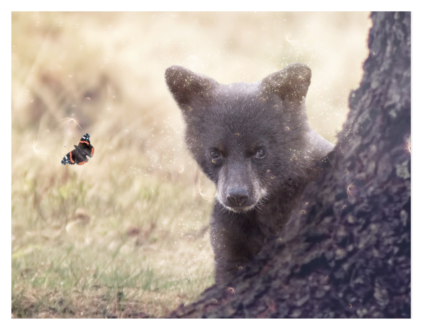 Keep Me In Your Heart (Winnie The Pooh) - Limited Edition