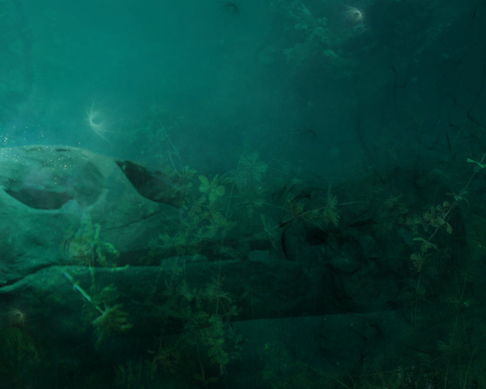Rest In Pieces (The Loch Ness Monster) - Limited Edition