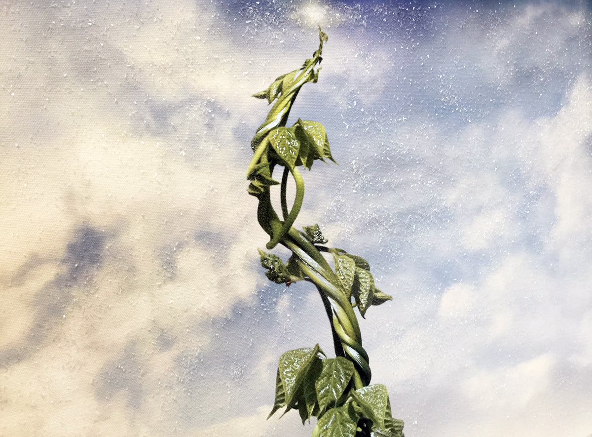 You Reap What You Sow (Jack & The Beanstalk) - Original